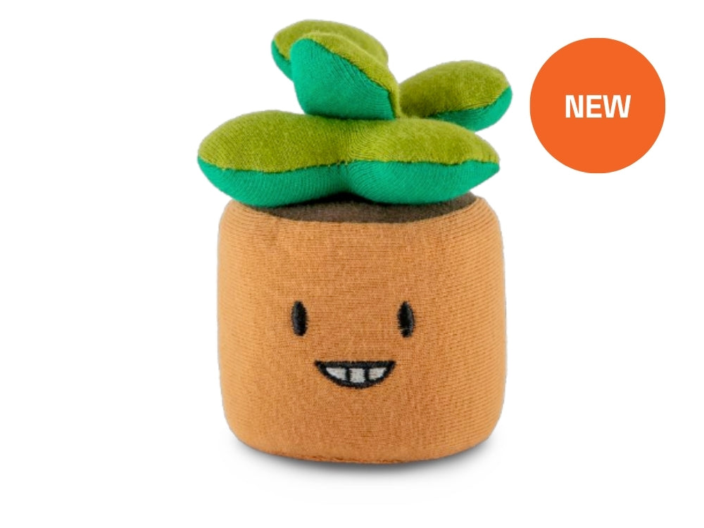 sunny succulents plush Squeezibo Stress Ball