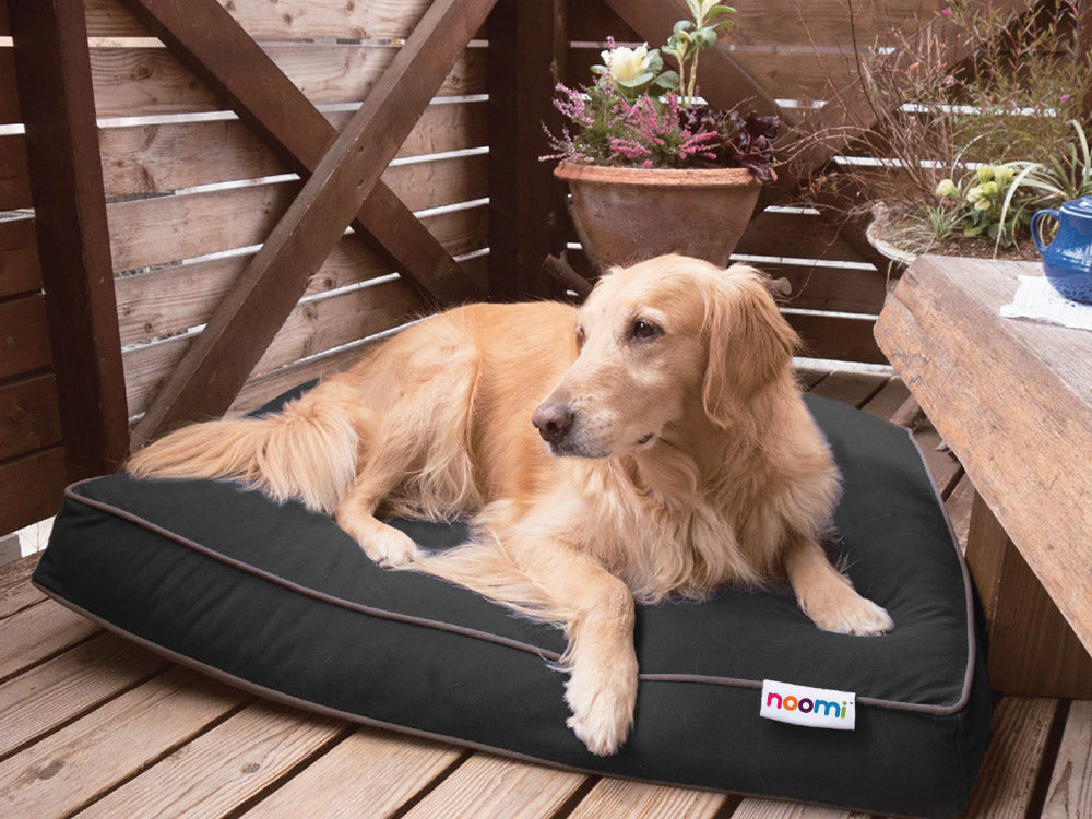The Ultimate Guide to Choosing the Perfect Premium Dog Bed for Your Furry Friend